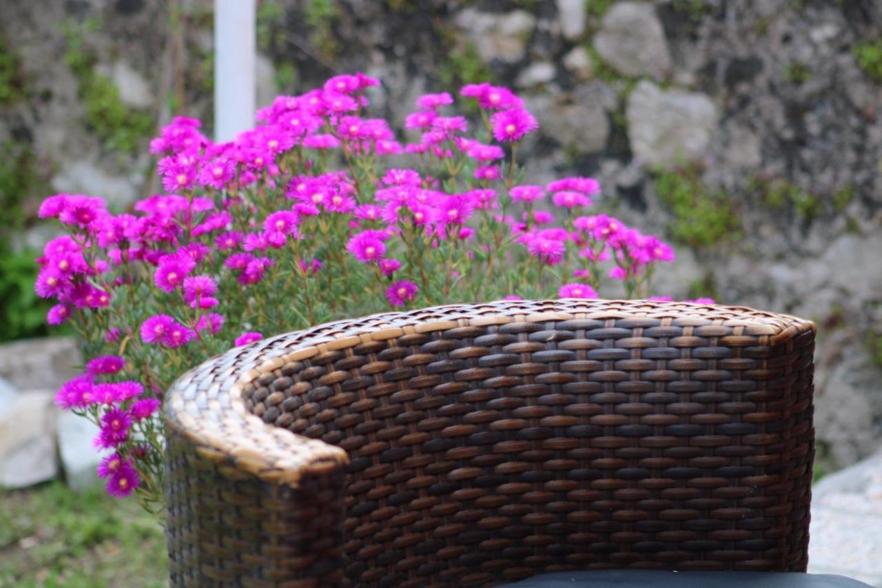 Penelope'S Street Old House Apartment Lefkada City Luaran gambar