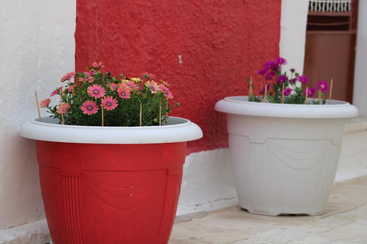 Penelope'S Street Old House Apartment Lefkada City Luaran gambar