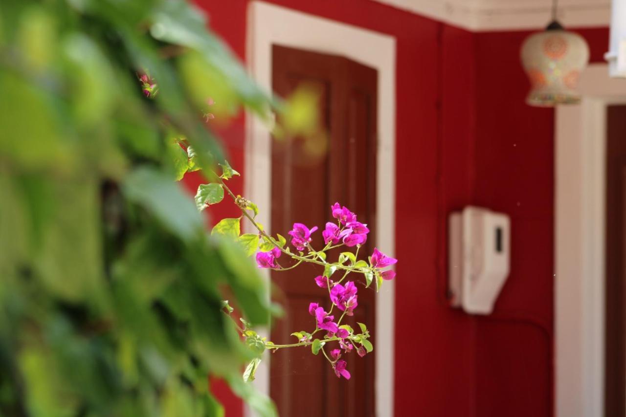 Penelope'S Street Old House Apartment Lefkada City Luaran gambar